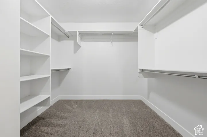 Built-in shelving, multiple hanging rods, and plush carpet flooring