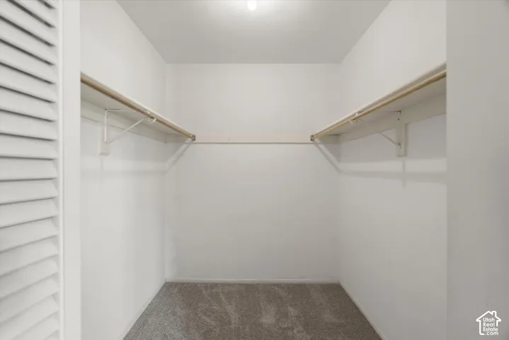 Walk-in closet featuring louvered door, neutral carpet, white walls, and built-in shelving with hanging rods