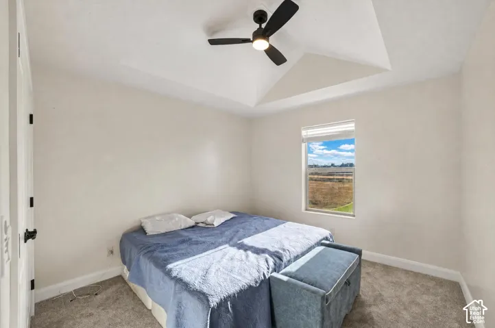 Bright bedroom featuring a ceiling fan, carpet flooring, and a large window with natural light and countryside scenery