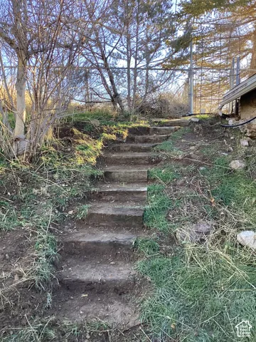 Terraced hillside with wooden steps, mature trees, and natural ground cover