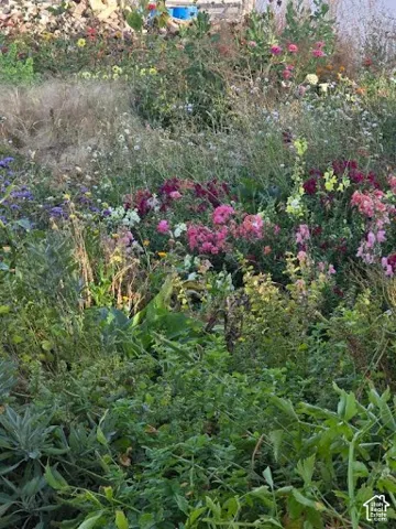flower gardens