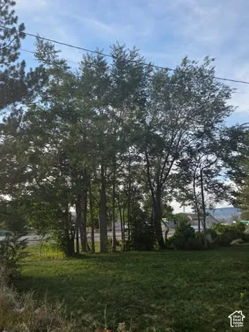mature buffer trees