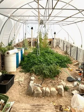 greenhouse interior