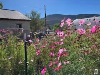 flower garden in foreground of shop detached