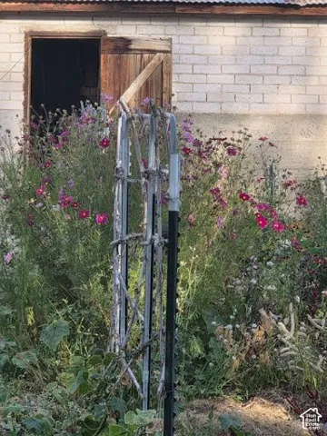flower gardens