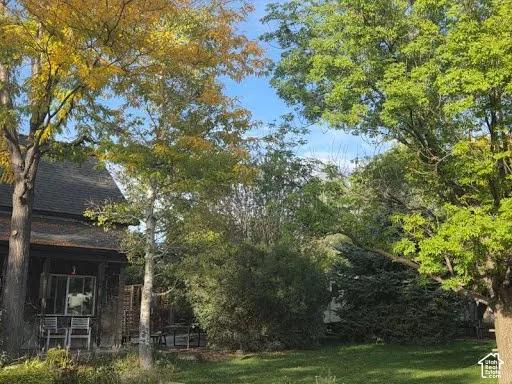 front yard with mature trees
