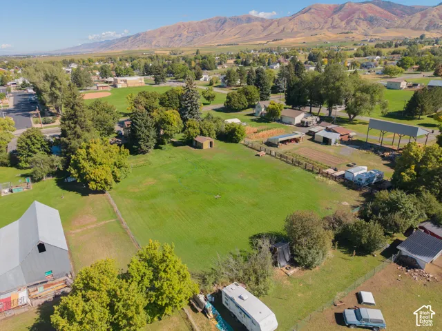 Expansive green lawn with mature trees, surrounded by residential buildings and distant mountains