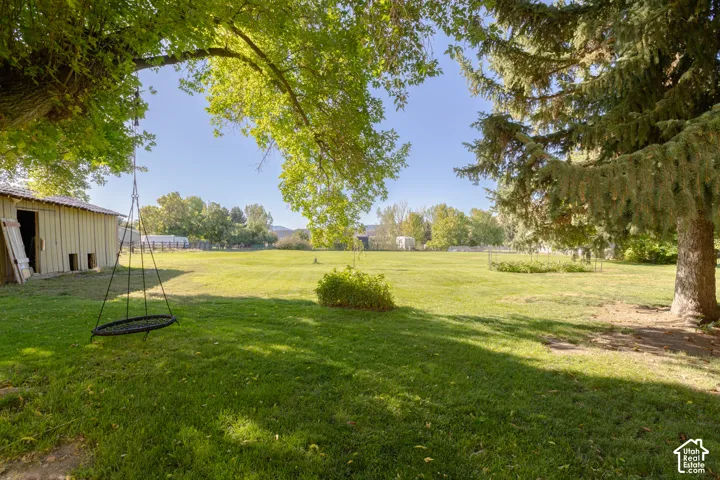 Expansive grassy area with mature shade trees and a light-colored outbuilding