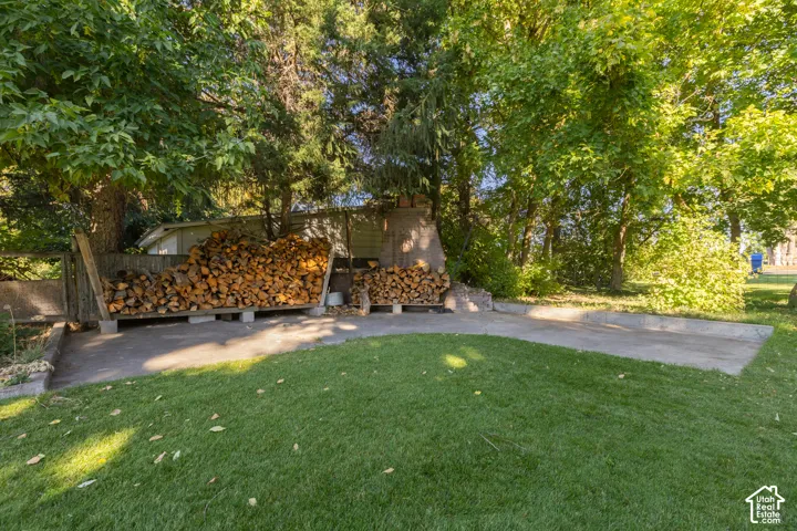 Expansive green lawn with mature trees, concrete patio, and a dedicated wood storage structure
