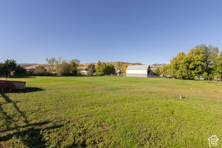 Expansive grassy field with mature trees and distant rolling hills