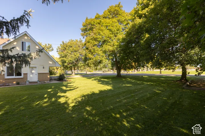 Expansive green lawn with mature trees and a two-story residence featuring light-colored siding and a brick-finish foundation
