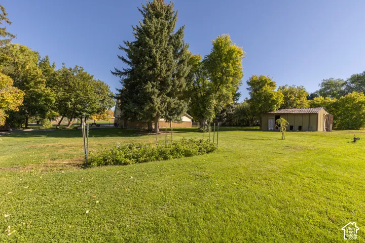 Expansive green lawn with mature trees and a detached shed