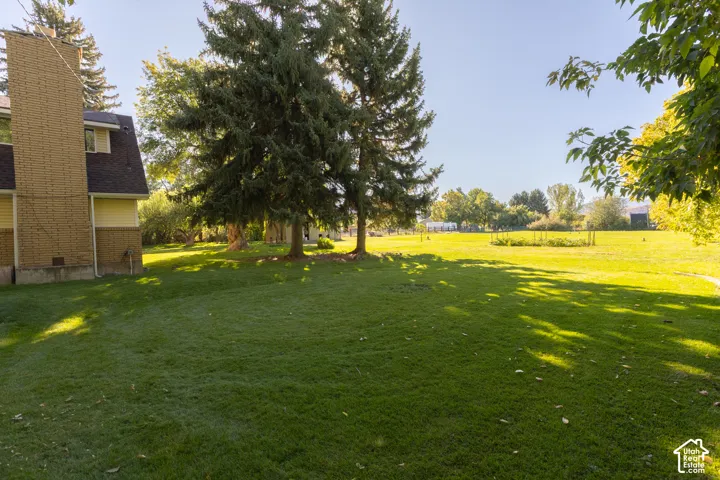 Expansive grassy area with mature evergreen trees, a brick chimney, and a building with yellow siding