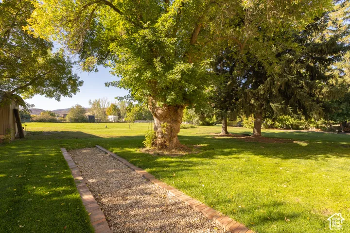 Expansive green lawn with mature trees and a gravel pathway bordered by bricks