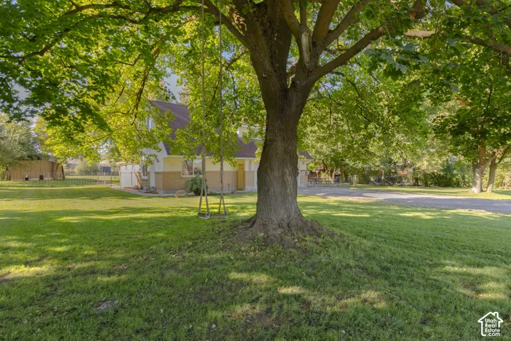 Expansive front lawn with mature trees and a gravel driveway