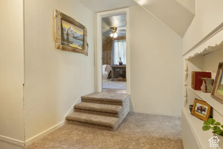 Carpeted staircase with three steps leading to an interior doorway
