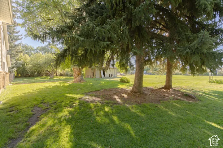 Expansive green lawn with mature evergreen trees and a brick-sided structure