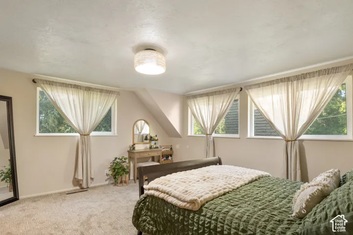 Plush carpeting, four windows providing natural illumination, neutral wall tones, and a ceiling-mounted light fixture
