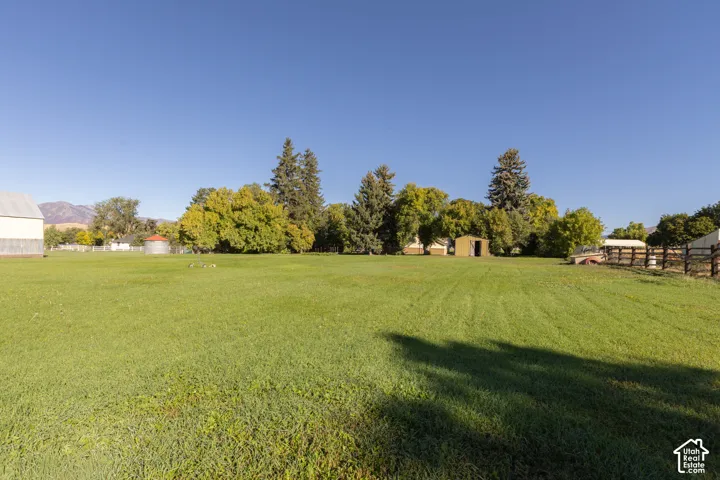 Expansive green lawn with mature trees and a storage shed