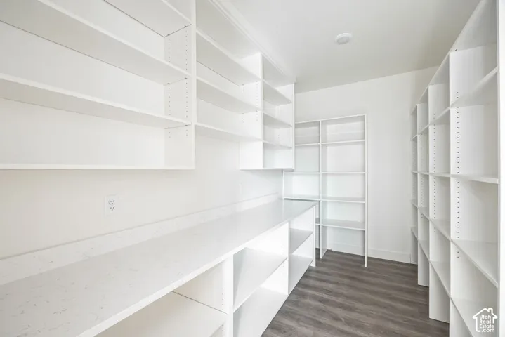 Extensive white shelving, ample counter space, integrated overhead lighting, and wood-finish flooring