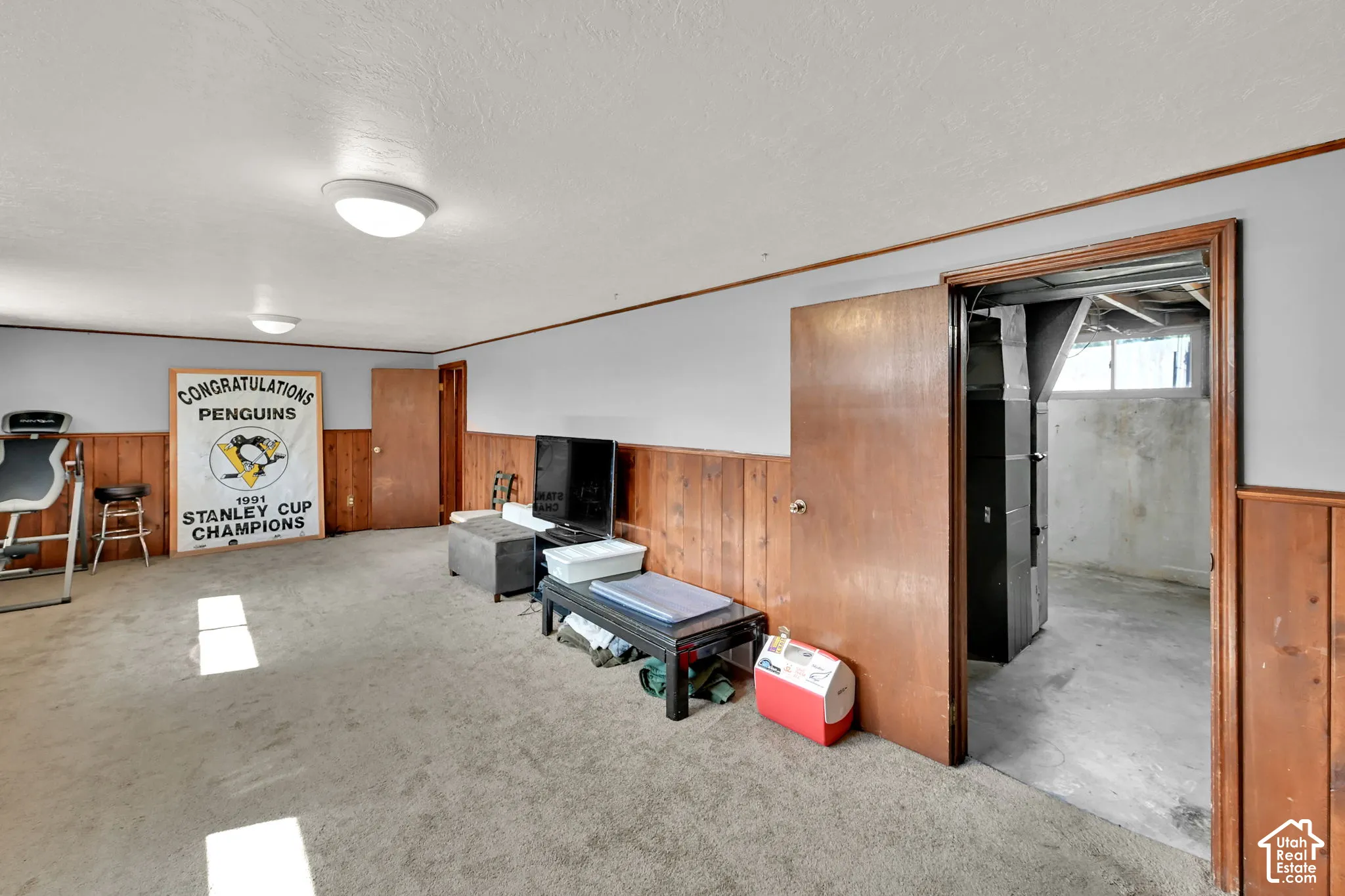 Finished room featuring carpet flooring, wood paneling, and two ceiling-mounted light fixtures