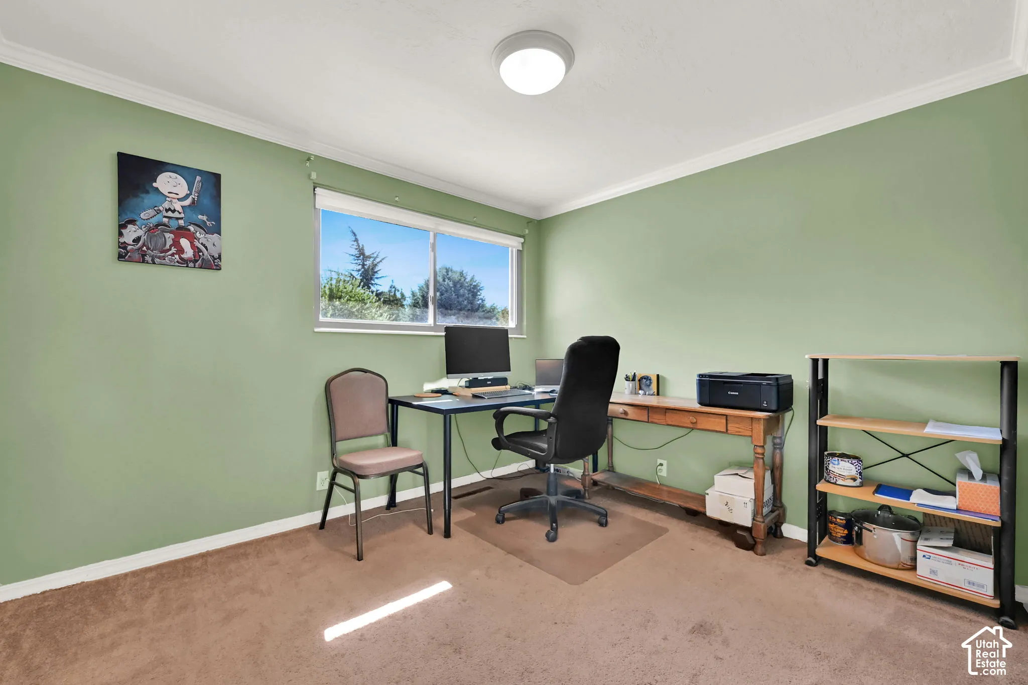 Versatile home office featuring soft sage green walls, abundant natural light from dual windows, carpeted flooring, and built-in metal shelving units for storage and organization