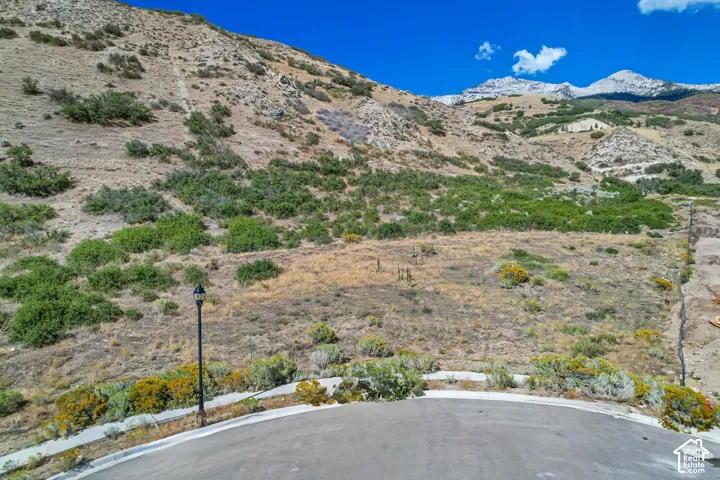 1862 N Dean Ct, Alpine, Utah 84004