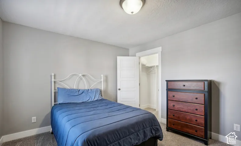 Textured carpeting, recessed closet, ceiling-mounted light fixture, white trim, and light gray walls