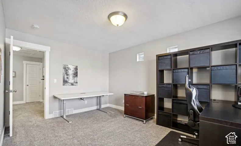 Carpeted room featuring light gray walls, a flush-mount ceiling light, and white trim