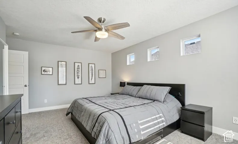 Carpeted room featuring a ceiling fan, light-toned walls, multiple windows, and a five-panel interior door