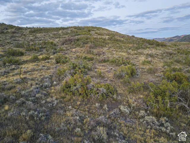 Expansive, gently sloping terrain featuring diverse natural vegetation and distant hills