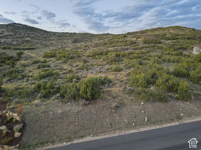 Expansive undeveloped land with natural vegetation and a paved road frontage