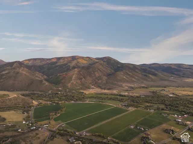 Expansive agricultural fields with distant mountain backdrop