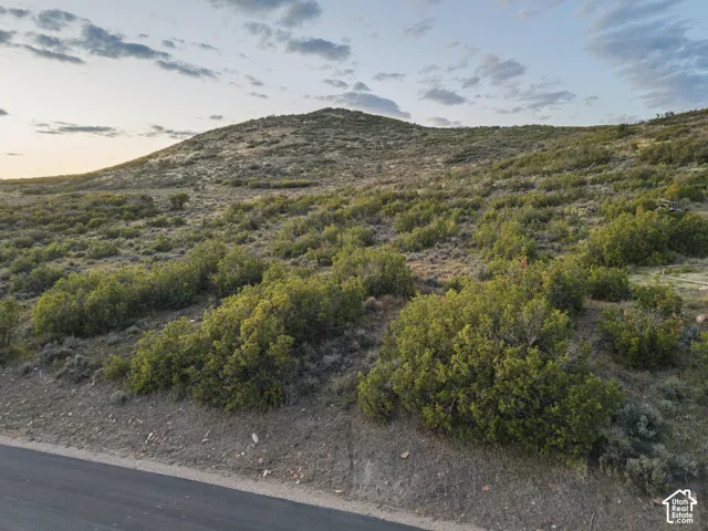 Expansive natural landscape with varied shrubbery, rolling hills, and a partial paved road