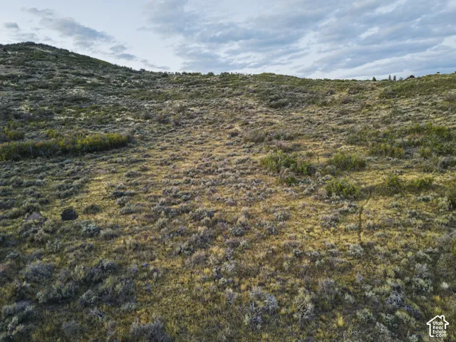 Rolling topography with natural vegetation, featuring scattered shrubs and varied ground cover