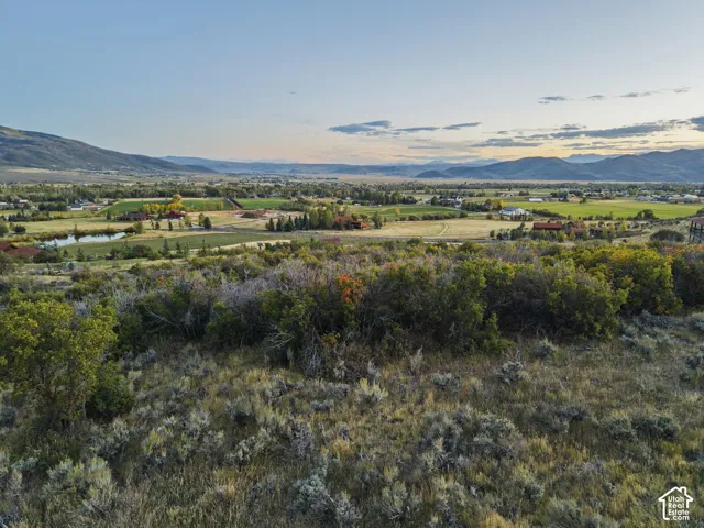 Expansive natural landscaping with scattered shrubs and a distant mountain backdrop