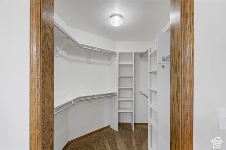 Primary walk-in closet featuring built-in shelving, hanging rods, and carpet flooring