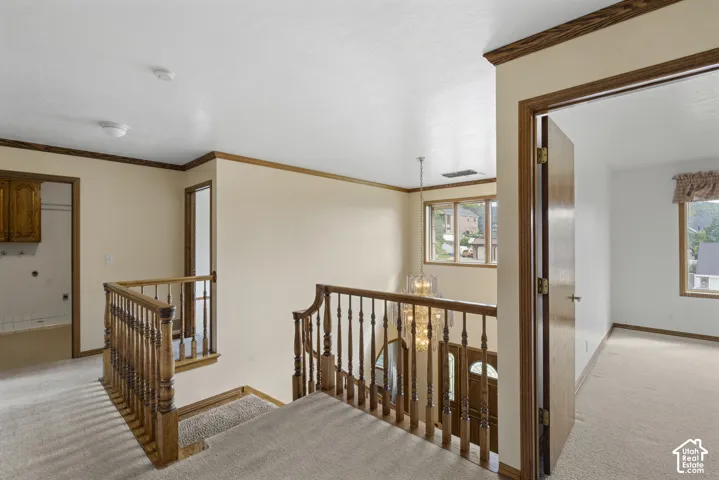Carpeted landing with wood banister, wood trim accents, and a window providing natural light