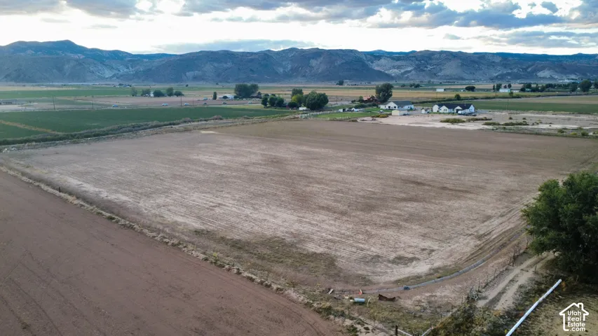 Expansive agricultural land featuring a cultivated field, bordering a dirt track and green foliage