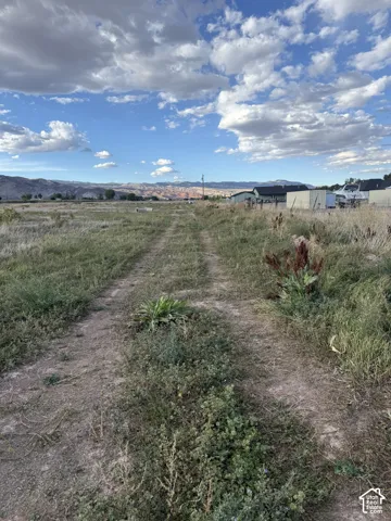 Expansive open land with a dirt path, bordered by natural vegetation