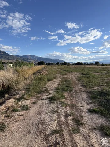 Expansive land with a dirt path, surrounded by natural vegetation and distant mountains under a blue sky with clouds