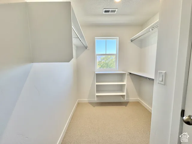 Built-in shelving, hanging rods, and a window