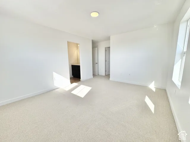 Spacious interior with neutral carpeting and bright white walls, featuring a ceiling-mounted light fixture and multiple windows