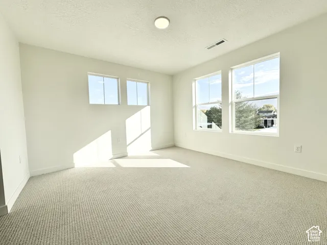 Expansive room featuring multiple windows, neutral tone carpet, and a flush-mount ceiling light