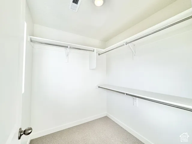 Walk-in closet with carpet flooring, white walls, and built-in shelving