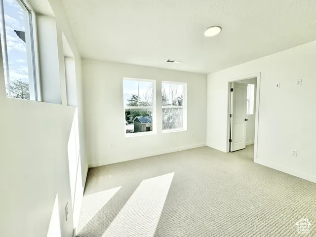 Recessed ceiling light, neutral wall finishes, light-colored carpeting, multiple windows, and a white interior door with dark hardware
