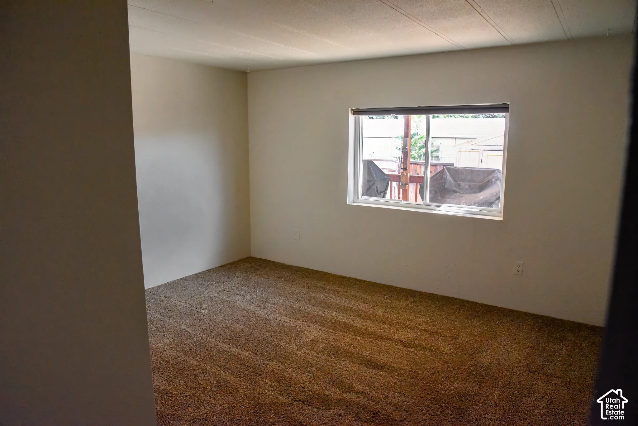 Neutral-toned walls complement the brown carpeting