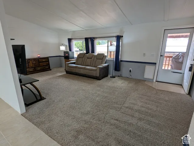 Carpeted living area with two windows, a white door with glass paneling, and a distinct two-toned wall
