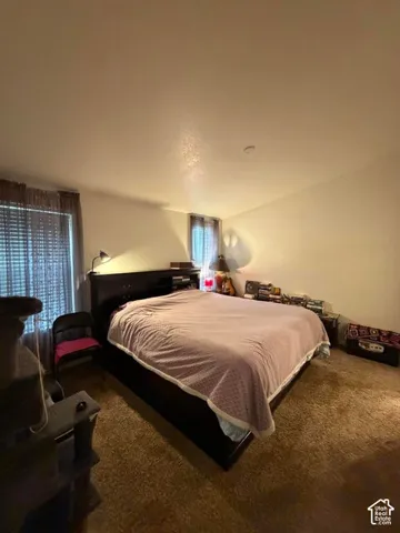 Spacious bedroom featuring neutral wall finishes, carpeted flooring, and abundant natural light from large windows