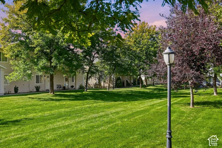 Expansive grassy area with mature deciduous trees, featuring a black street lamp with a frosted glass fixture